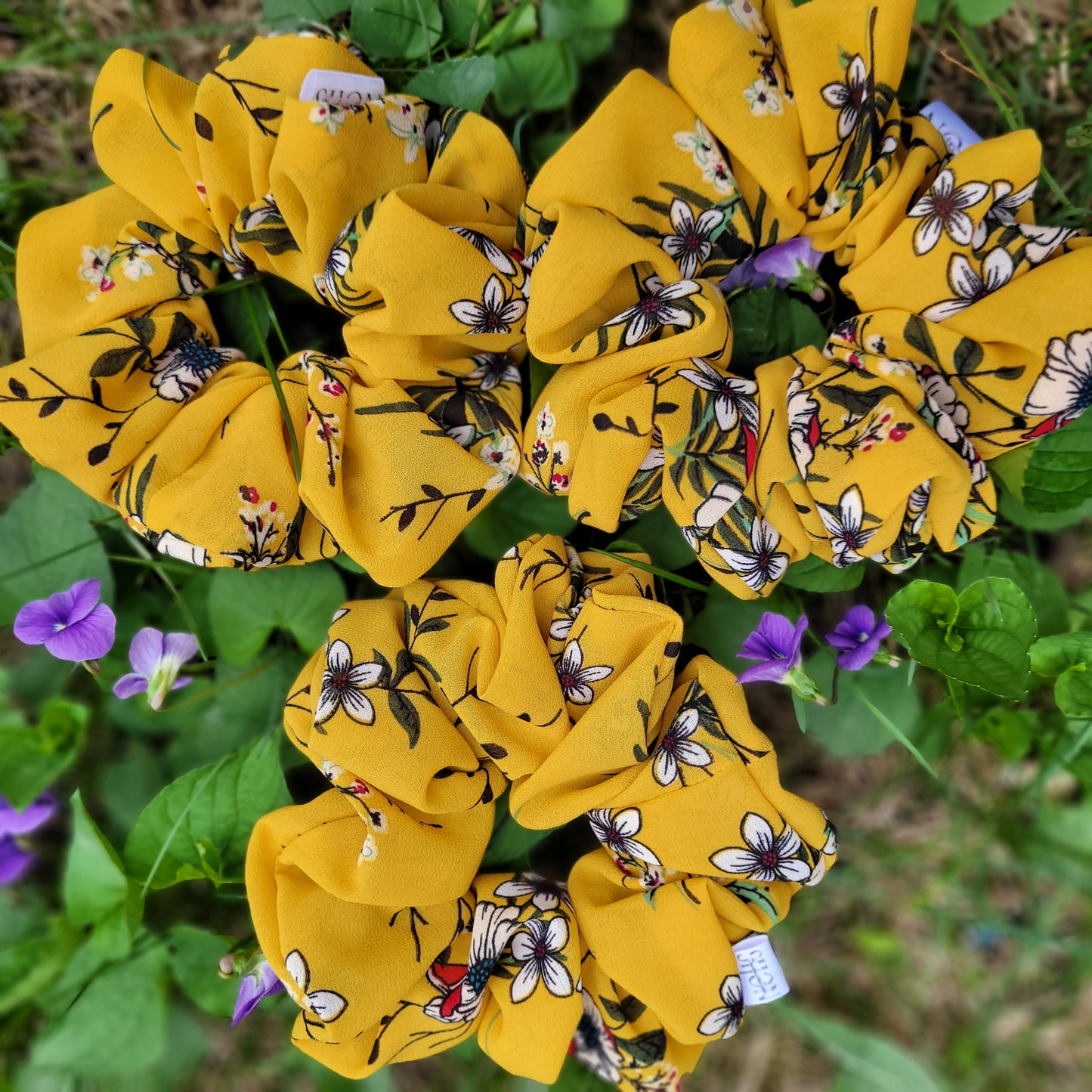 PANSY